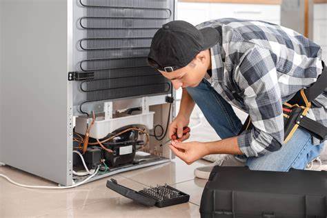 Fridge Service